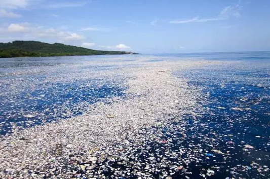 Plastic island
