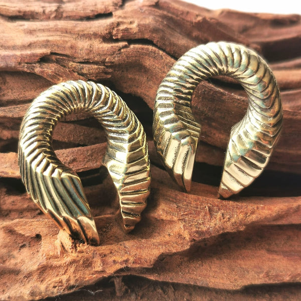 Gold hoop earrings on a wooden surface