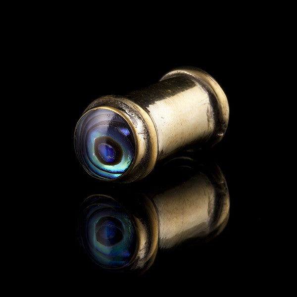 Paua | Abalone Shell & Brass Ear Plug