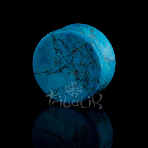 turquoise ear plugs