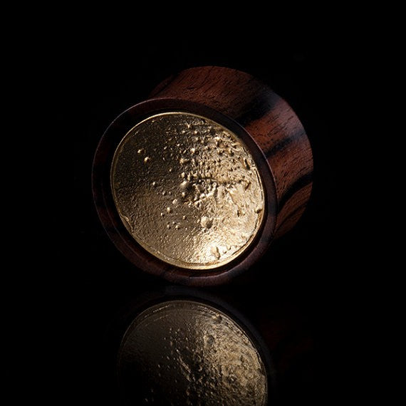 Brass & Wood Ear Tunnels- Shine
