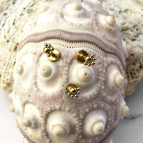 Gold Plated Stainless Steel Flat Back Multi Piercing - Dotted Crown