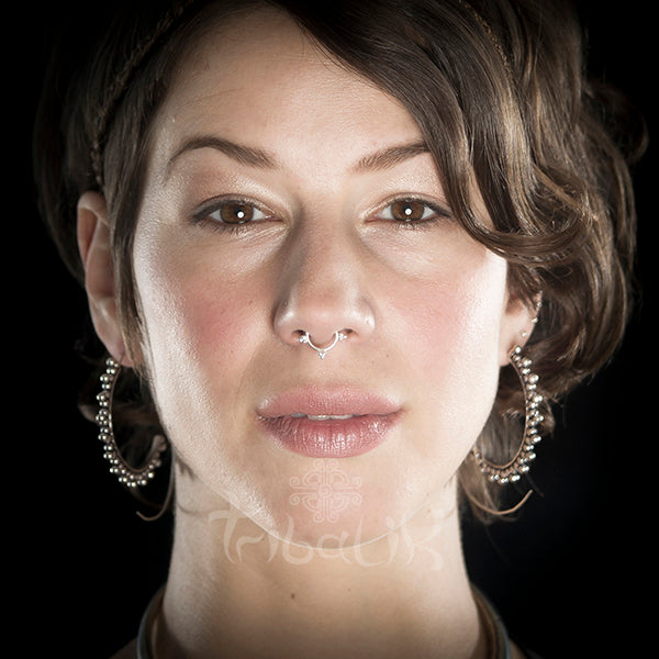 silver fake septum