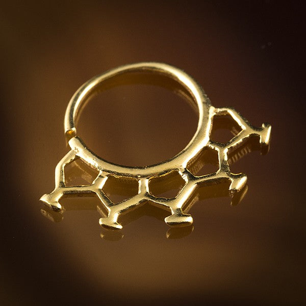 gold septum ring