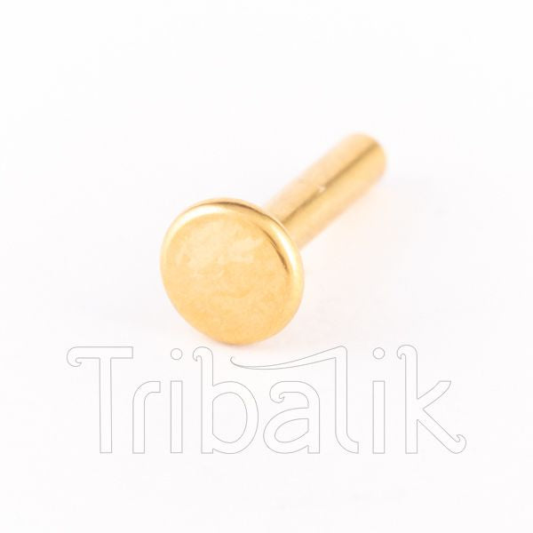 Titanium Flat Back Bar For Threadless Piercing Jewellery Silver or Gold