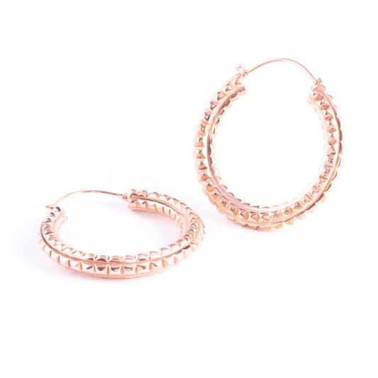 22k rose gold plated brass earrings - weights - Journey
