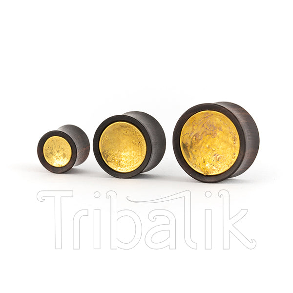 Brass & Wood Ear Tunnels- Shine