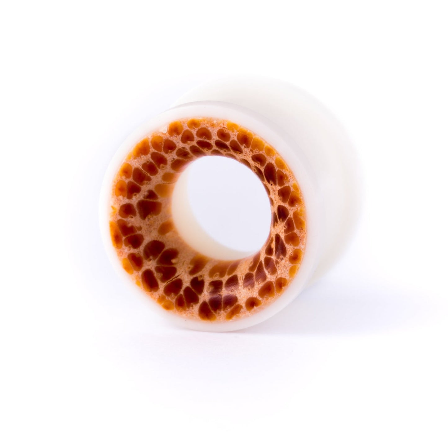Bone Powder And Palm Wood Tunnel