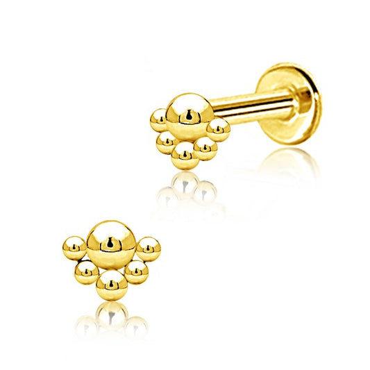 Gold Plated Stainless Steel Flat Back Multi Piercing - Dotted Crown