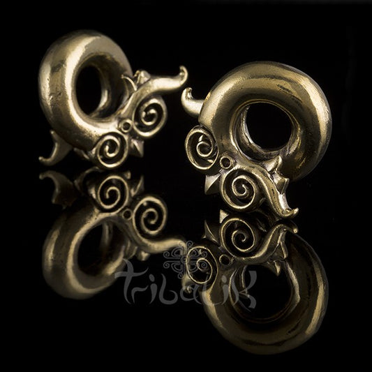 Gold Brass Spiral Ear Weights