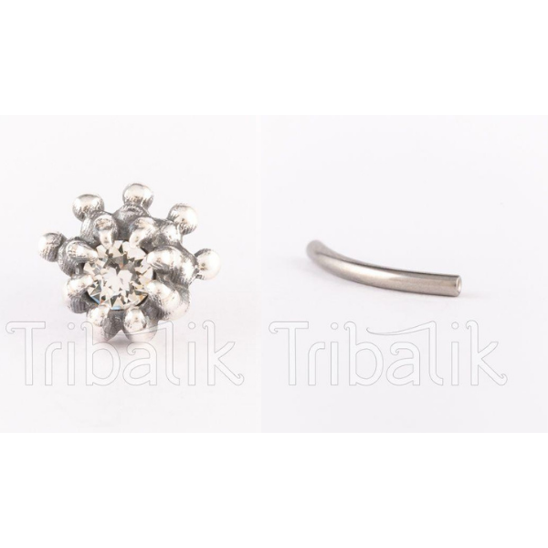 Silver Threadless Labret Crystal Claw