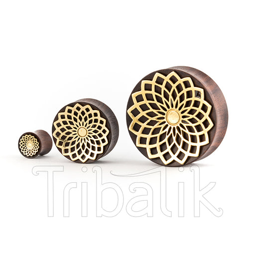 gold and wood ear tunnels